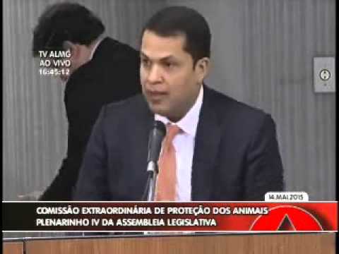 Deputado participa de reunião na Comissão de Proteção e Defesa dos Animais, na ALMG Deputado participa de reunião na Comissão de Proteção e Defesa dos Animais, na ALMG