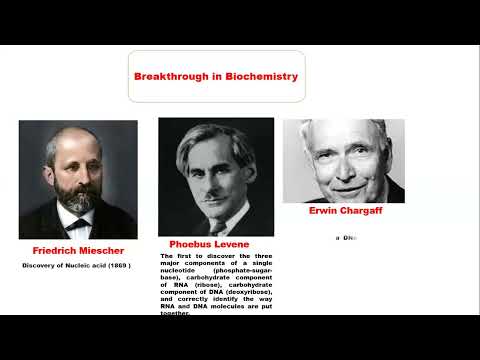 Introduction to physiological and pathological chemistry