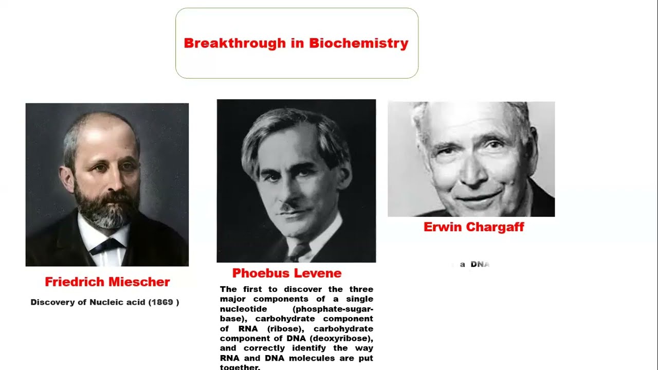 Introduction to physiological and pathological chemistry