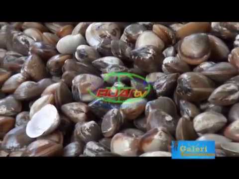 Ale Ale Kalimantan Barat