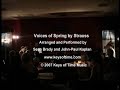 this arrangement is arranged and performed by sean brady and john-paul kaplan. visit jppiano.com for more information. composed in 1882, strauss' voices of spring waltz has been captivating audiences ever since.