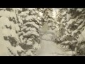 dylan natale and kyler cooley ... my favourite skiing edit out there.. check out ragefilms release 