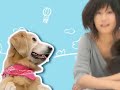 「未来サポート、 ステキでしょ」篇