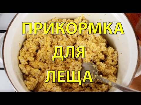 Пшено для леща на фидер Пшено для леща на фидер