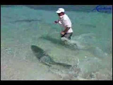 tarpon fishing