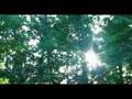 videos de jarabacoa 150 años