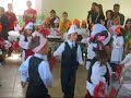 talentet e vogel