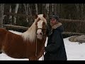 Ranch ND.wmv