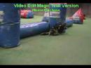 Fallen Army Sean2 At NEXT Paintball