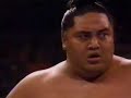 Yokozuna vs Hacksaw Jim Duggan - Special Report