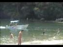 Arroxa em Ilha Grande
