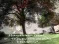 Evp at jeremy wade delles grave