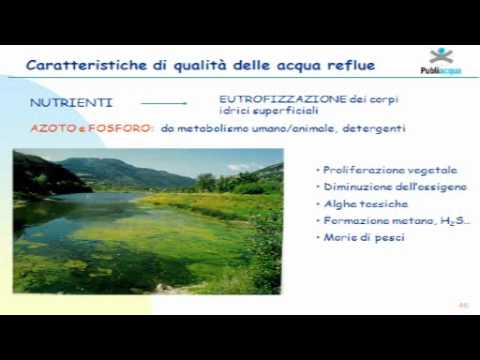 "Controllo e qualità dell'acqua" 5° parte - Lezione Istituto "B. De Franceschi"