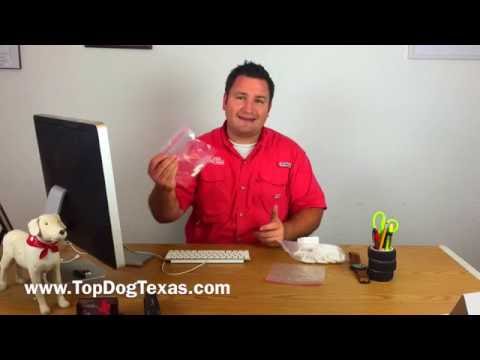 video-linktoworks-Diabetic Alert Dog Training: How to collect saliva...