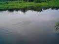 Haruan fishing_uthm anglers