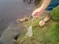Haruan fishing_uthm anglers Haruan fishing_uthm anglers