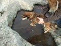 Betty Scared of Water