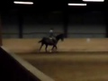 Viktoria och Lucky Lou(Goos)
