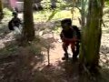 perang vietnam