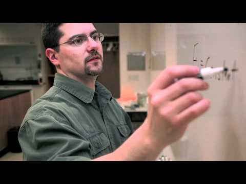 Video: UW Green Bays Environmental Mission YouTube Preview Image