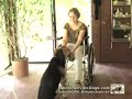 Wheelchair Assistance - Complex Tasks