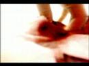 the death of anna karina - the cure