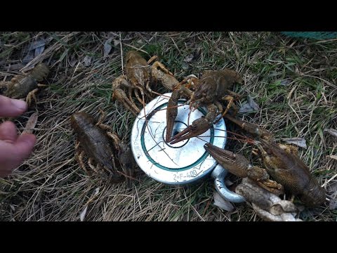 где в харьковской обл ловить раков где в харьковской обл ловить раков