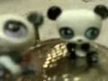 Littlest Pet Shops Got Talent