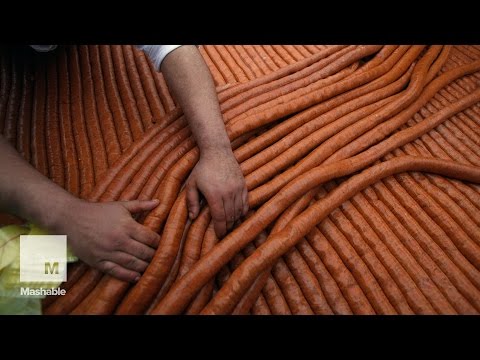 nainen päällä vinkkejä maksullista seuraa nainen päällä vinkkejä maksullista seuraa