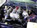 videos de Dyno Dynamics Aruba