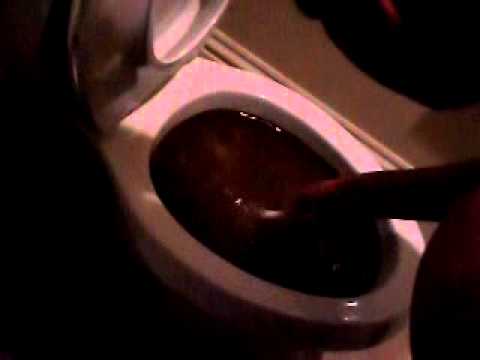 how to unclog a toilet by hand