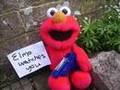 Elmo's got a gun