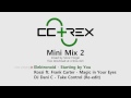 CCtREX - Mini Mix 002 by Sonic Forger [Best of Creative Commons Electro House Music]