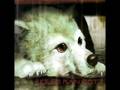 Wolf's Rain - Cloud 9