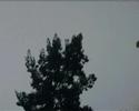 Lightning Storm