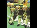 1975 University of Ottawa Gee Gees, Part 2, The CFL Years