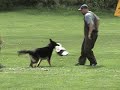 Indian Creek Schutzhund Club April 29th