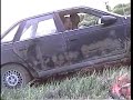 the black taurus