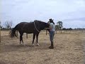Part 1 My Level 1 PNH Assessment