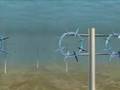 High Tide