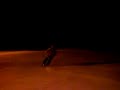 MOV00255