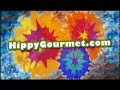 Organic Living with the Hippy Gourmet promo