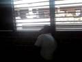 videos de Despertando al Gordo