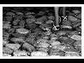 Low - Step Low - Step