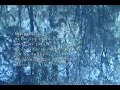 body-of-water-part-2-by-royanthonyshablacom.html