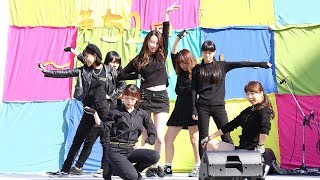 【部・サークル紹介】ダンス部