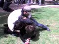 Bolita a Lalo ! Bolita a Lalo !