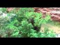 videos de Havasupie Falls 2