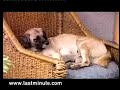 Sarda: inédito Dutifrí Venezuela lastminute 1 Sarda: inédito Dutifrí Venezuela lastminute 1