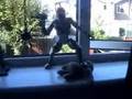 Monkey's Bad Day:Lucifer Jables Jagermeistr's Bad Day